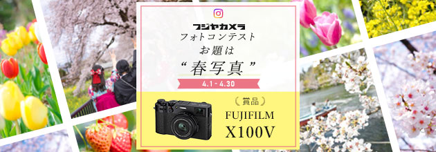フジヤカメラ フォトコンテスト “春写真” 2024年4月