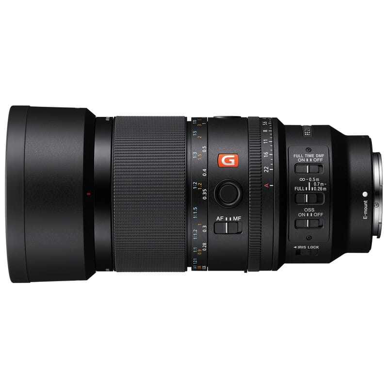 FE 100mm F2.8 Macro GM OSS SEL100M28GM