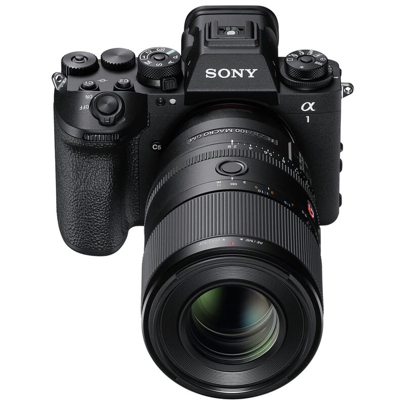 FE 100mm F2.8 Macro GM OSS SEL100M28GM