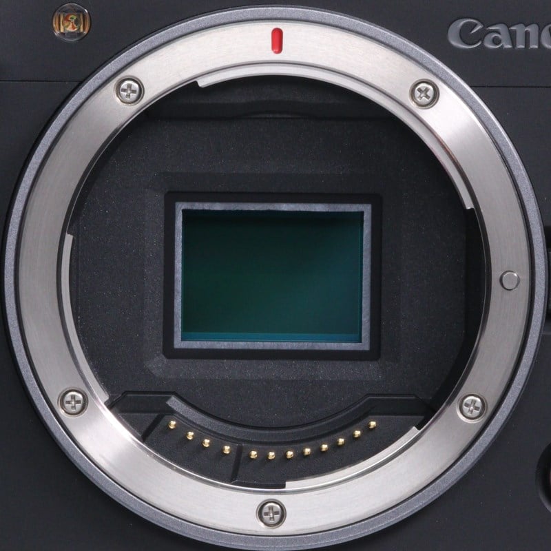 EOS R50 V ボディー