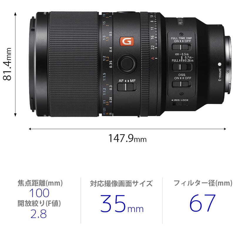 FE 100mm F2.8 Macro GM OSS SEL100M28GM