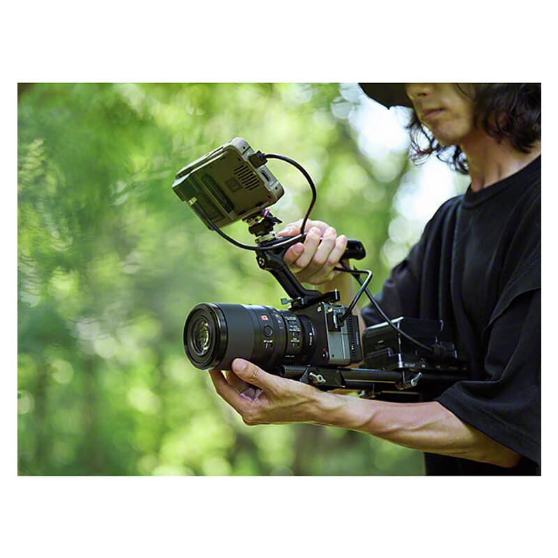 FE 100mm F2.8 Macro GM OSS SEL100M28GM