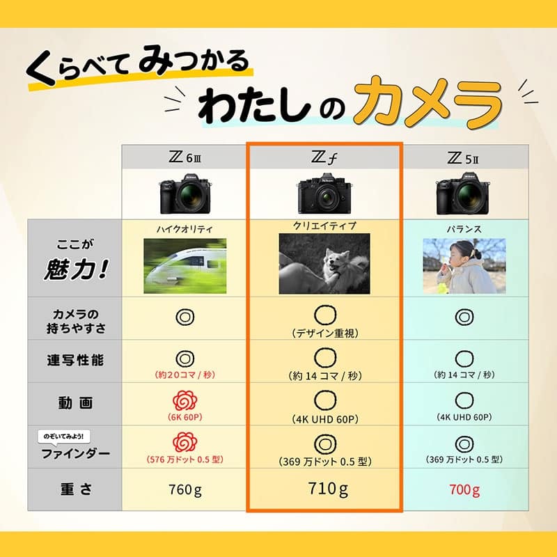 Zf ボディ(ブラック)