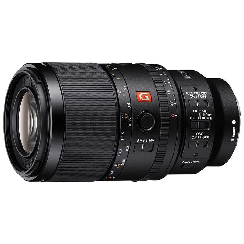 FE 100mm F2.8 Macro GM OSS SEL100M28GM