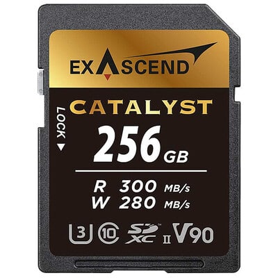UHS-II(V90) Catalyst EX256GSDU2