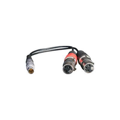 XLR Breakout Cable Input only ATOMCAB017