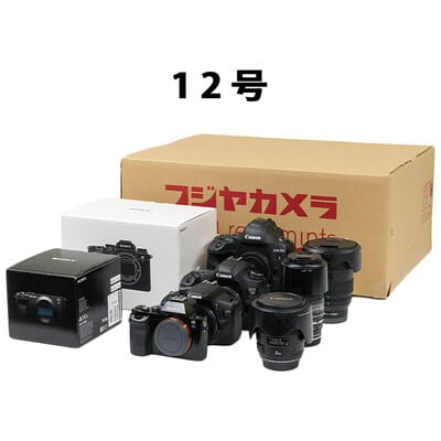 12号(内寸 幅 540 × 奥行 400 × 高さ 220 mm)