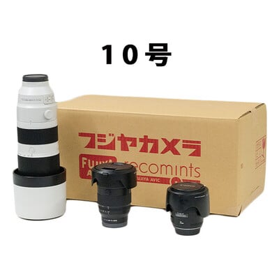 10号(内寸 幅 490 × 奥行 250 × 高さ 220 mm)