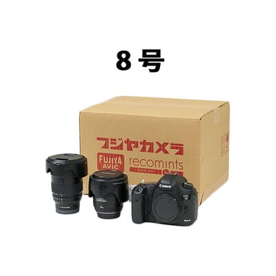 8号(内寸 幅 320 × 奥行 270 × 高さ 210 mm)