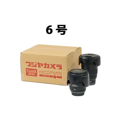 6号(内寸 幅 230 × 奥行 200 × 高さ 130 mm)